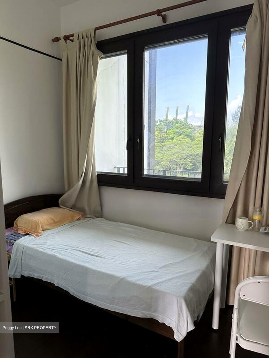 Village @ Pasir Panjang (D5), Condominium #447302311